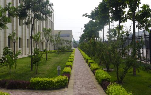 陜西綠宇園林公司:全員齊奏“追趕超越”主旋律