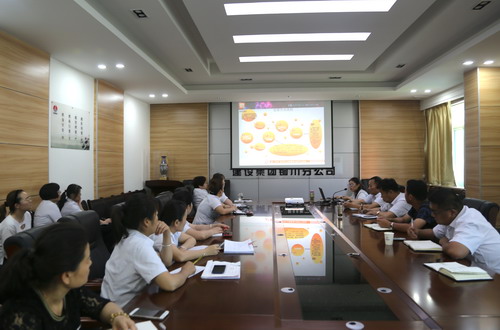 陜煤建設(shè)銅川公司:開(kāi)展財(cái)務(wù)知識(shí)培訓(xùn) 著力提高工作效率