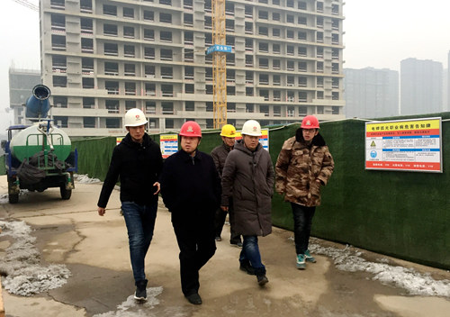 王寧深入藍山水岸項目檢查指導工作