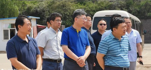 湖北省能源局副局長揭建平蒞臨路橋分公司黃陵店頭電廠項目施工現場