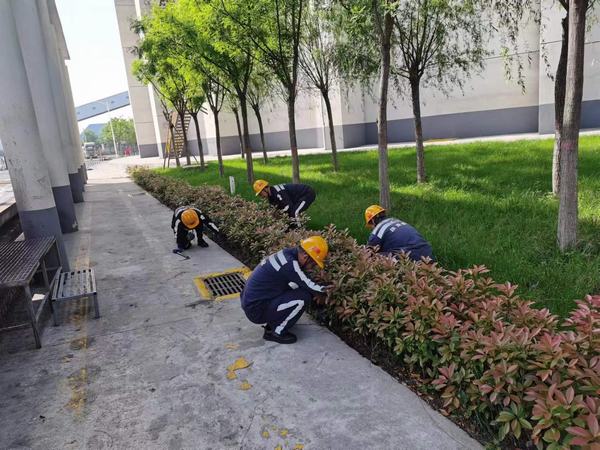 陜煤建設(shè)洗選煤運(yùn)營公司神渭蒲城運(yùn)營項(xiàng)目部：逐”綠”而行 向”綠”而興！廠區(qū)綠化在行動(dòng)