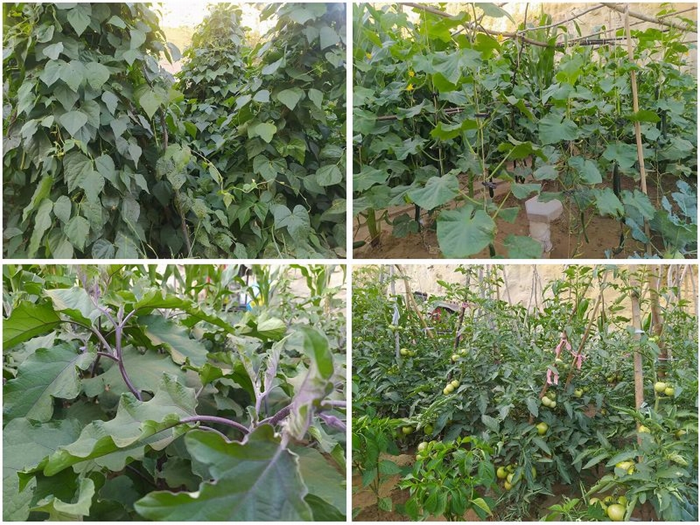 陜煤建設(shè)天工公司土建四部:雙手開辟幸福田 汗水澆灌暖心園